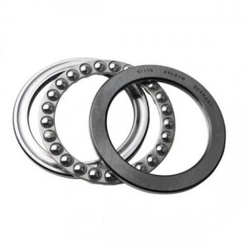 OEM 608zz Bearing with Double Groove