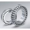 China Bearing Catalogue Tapered Roller Bearing for Bicycle Parts (NJ309EM/NU309)