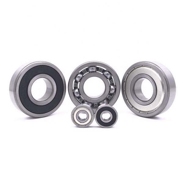 NTN SKF Koyo Snr NSK Insert Ball Bearing with Plastic Pillow Blocks for Chemical/Food Industries #1 image